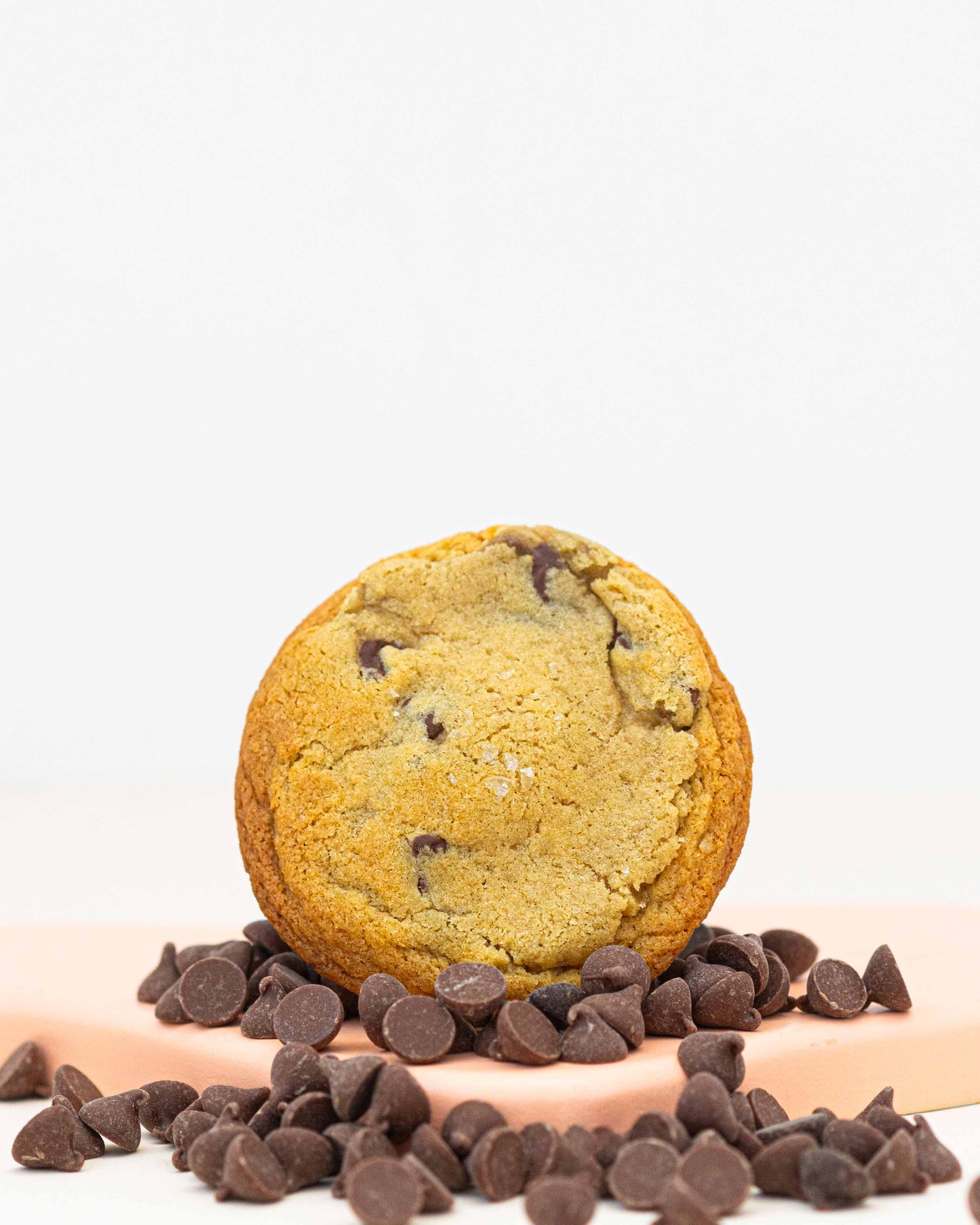 Chocolate Chip